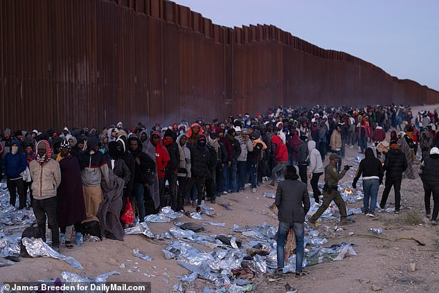 Resources for the Tucson sector have soared in the region, which typically sees less traffic than its counterparts such as the Rio Grande Valley (pictured shows a line of migrants in Lukeville)