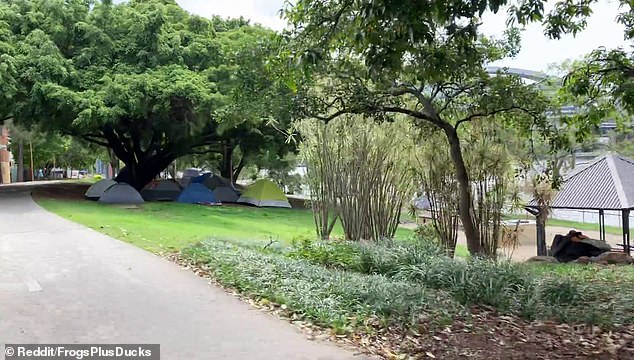 The tents can be seen clustered under trees between the William Jolly and Go Between bridges in the South Brisbane suburb.