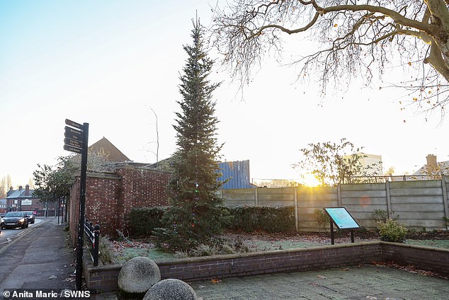 The spindly 6-metre-tall tree was placed on the Lock Worker's Memorial at a busy intersection next to a liquor store and a row of takeaways