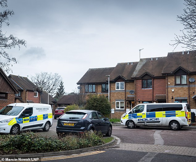 Police cars parked at the scene on January 1, 2023, after Ms Hansen was found dead