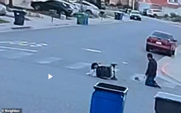 The victim eventually finds his footing and checks on his granddaughter, who can be seen lying in the stroller that ended up on its side after the attack.