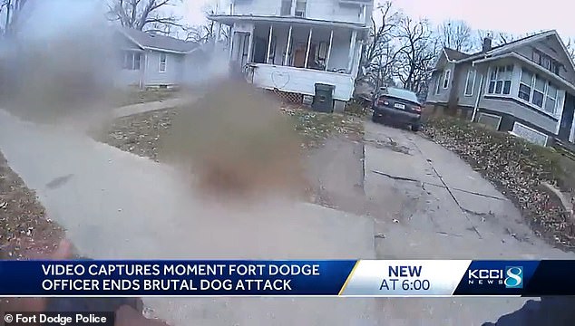 Seconds later, multiple shots ring out as the dogs are killed by the officer while still attacking