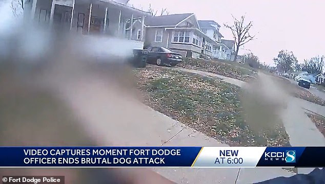 Police in Fort Dodge said they had received no previous complaints about the dogs attacking Skoland and that they were known to the victim.