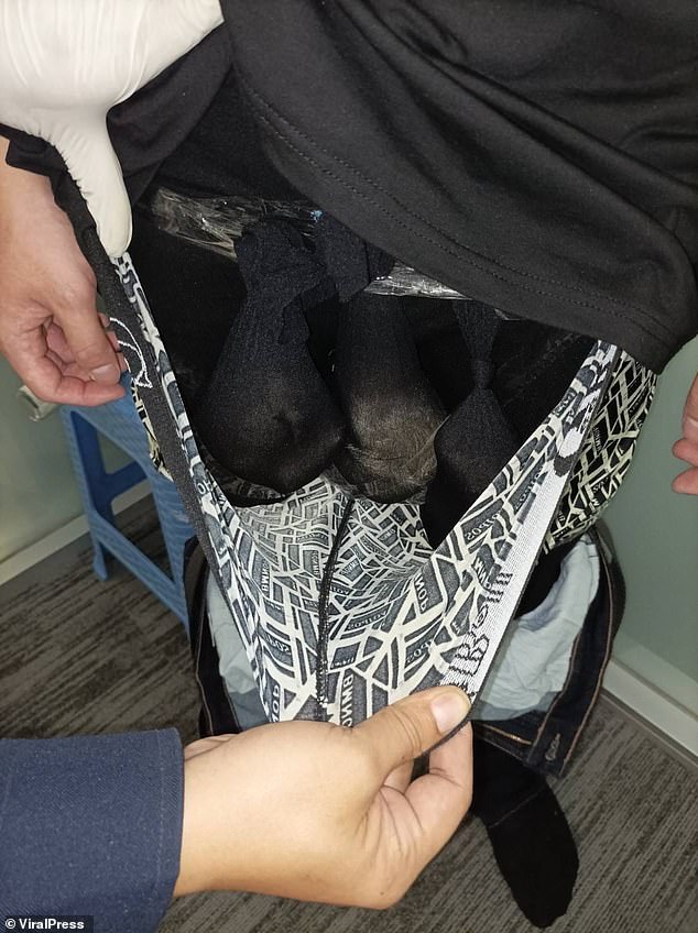 The protected wildlife had been placed in three separate stockings taped to the man's trousers before he went to the airport on Tuesday.