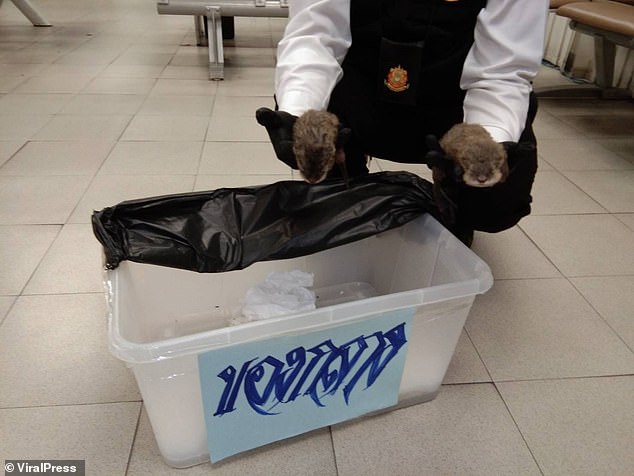 He was held at Suvarnabhumi Airport Police Station while the rescued animals were handed over to the Wildlife Conservation Office.