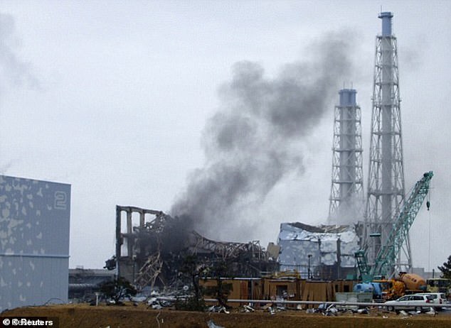 The Fukushima power plant, pictured after it was damaged, was crippled by an earthquake and tsunami in 2011