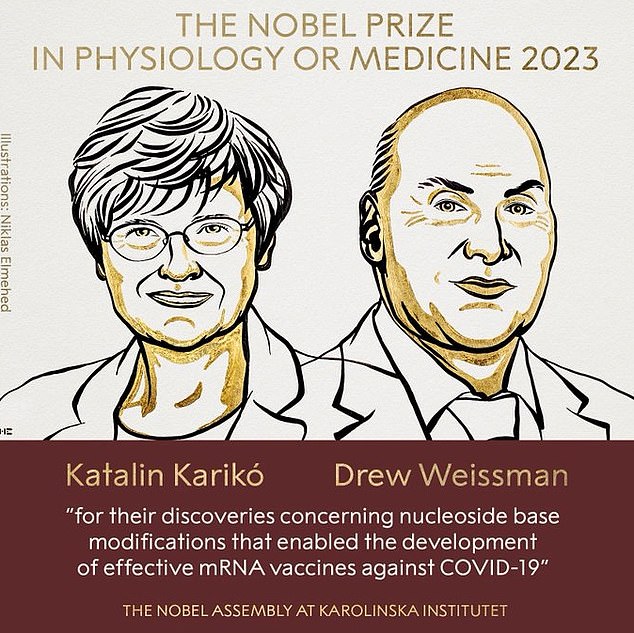 Katalin Karikó (left) and Drew Weissman (right) are credited with helping change the course of the pandemic.  Before mRNA jabs were rolled out to millions of people around the world to protect them from Covid, such technology was considered experimental.  Researchers are now investigating whether it can help beat cancer and other diseases