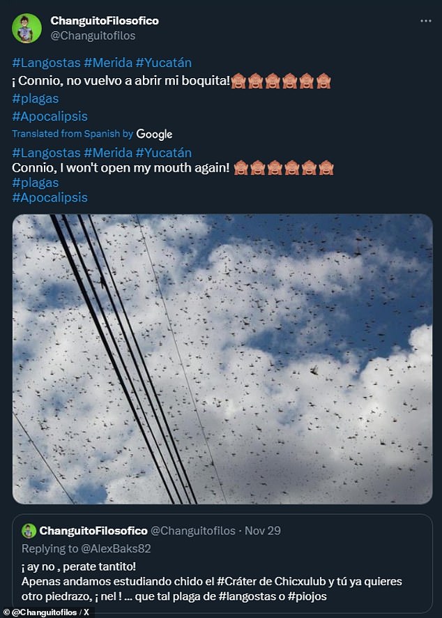 1702083454 843 End of times Apocalyptic locust swarms fill skies of