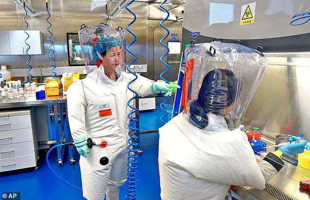 Shi Zhengli – nicknamed the 'Bat Lady' or 'Bat Woman' for her work on bat coronaviruses – works at the Wuhan Institute of Virology