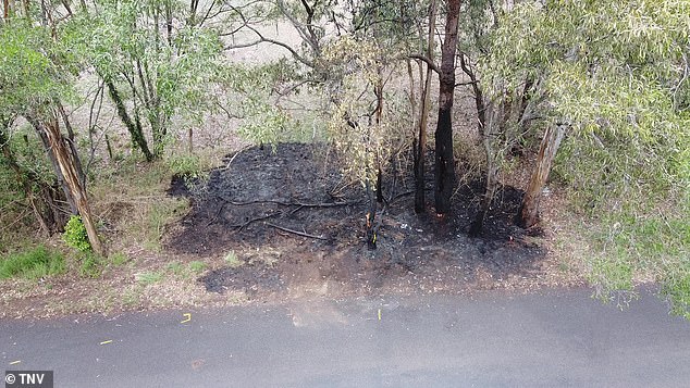 The car crashed into a tree around 8:50 PM on Saturday evening and caught fire