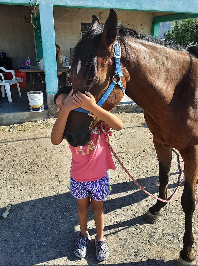 And to their surprise, the mare was pregnant, so they sent her to better pasture until she could give birth to her foal.