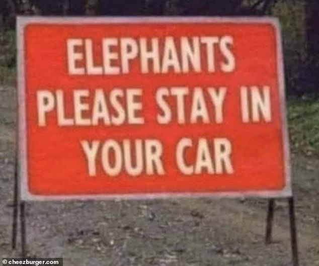 Didn't even know they could drive!  Another hilarious sign spotted urged elephants to stay in their cars