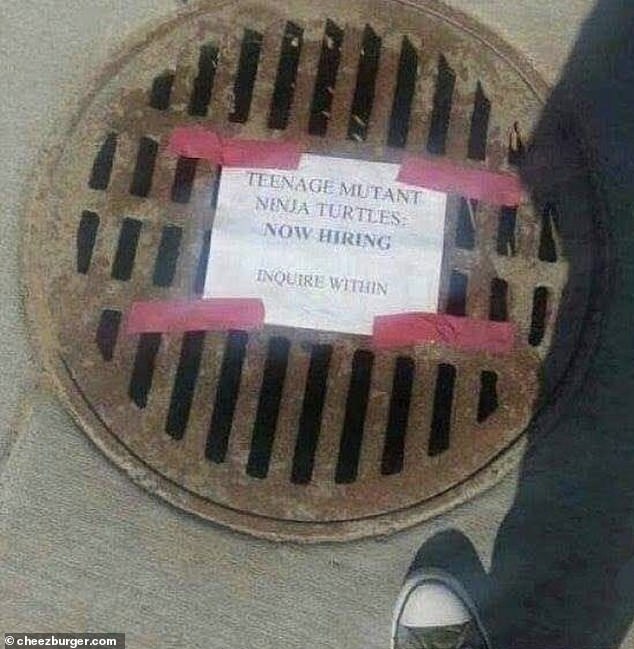 Sign me up!  Elsewhere, in New York, someone saw a sign on a sewer cover that said the Teenage Mutant Ninja Turtles were 