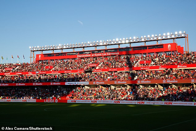 The game was stopped around the 15th minute when the referees were alerted to a problem in the stands