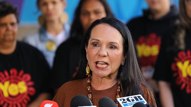 Indigenous Affairs Minister Linda Burney's 2024 priorities would focus on issues identified by Aboriginal and Torres Strait Islander people, including health, education, jobs, housing and justice