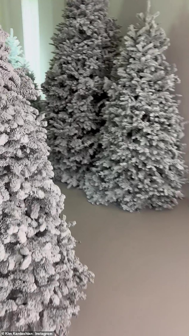 In the video, the camera opens up on the white trees and leisurely turns around the corner to see the long hallway decorated with trees