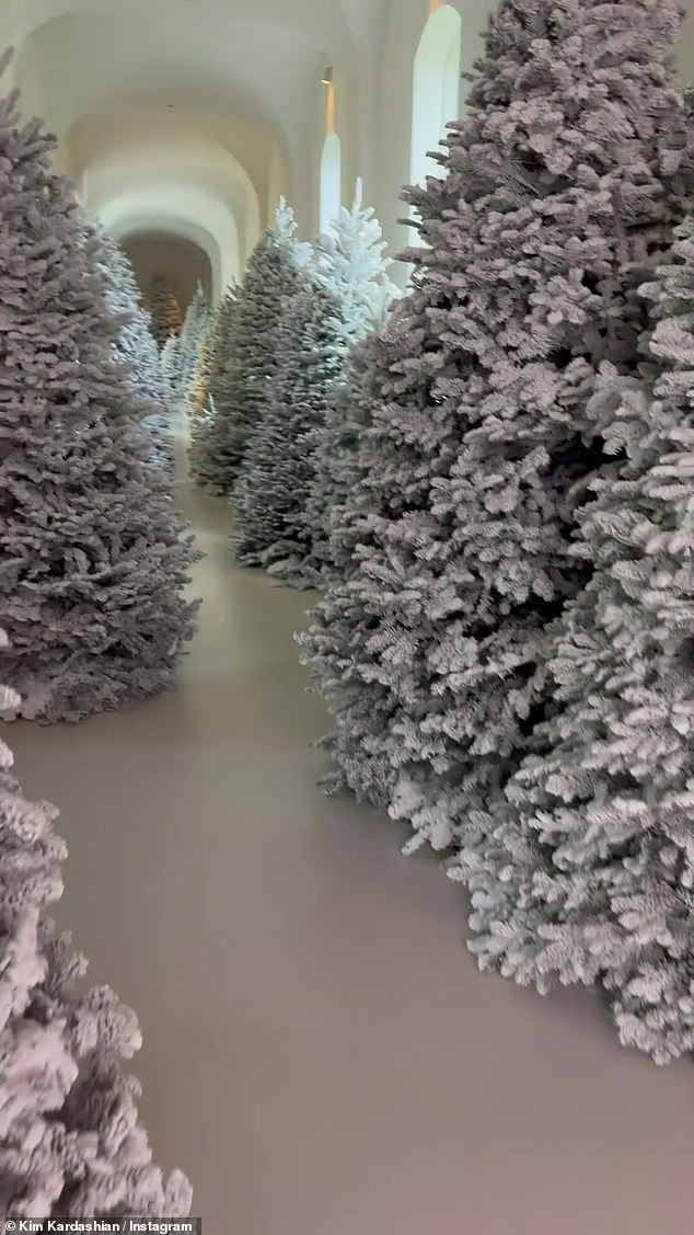 There appeared to be more than a dozen trees in the hallway, although it was not clear if other parts of the house also had displays