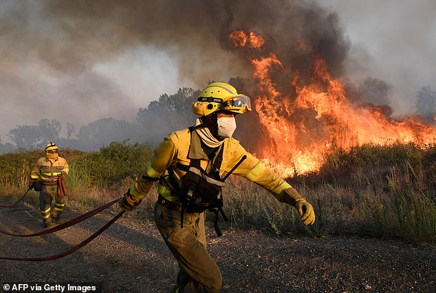 Nostradamus predicts in one of his quatrains that 'the dry earth continues to dry out', with forest fires having increased enormously in the past year