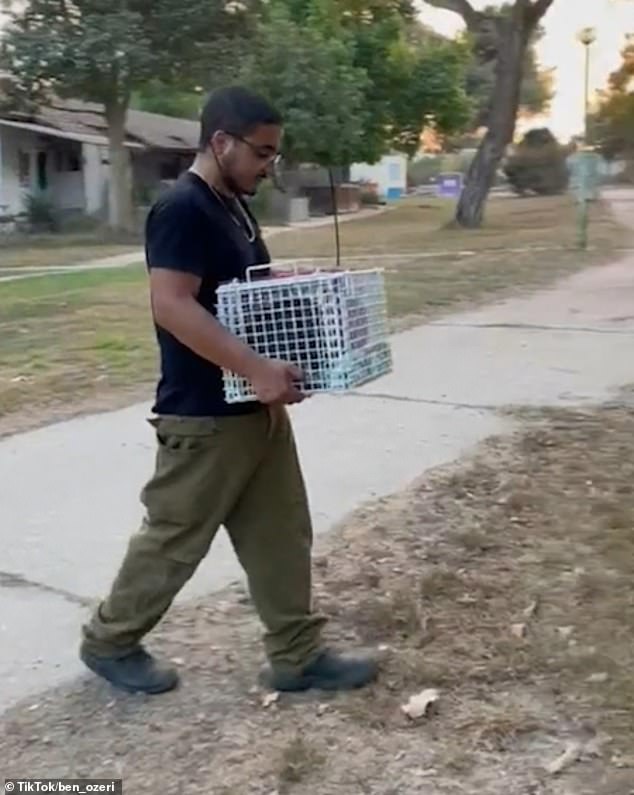 Since October 9, Ben Ozeri has been digging through the rubble of Kibbutz Kfar Azar, Kibbutz Be'eri and Kibbutz Nir Oz in search of missing dogs and cats