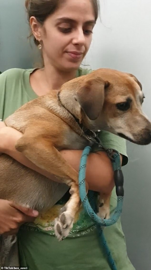 An Israeli woman hugs her pet after being reunited weeks after the October 7 attacks