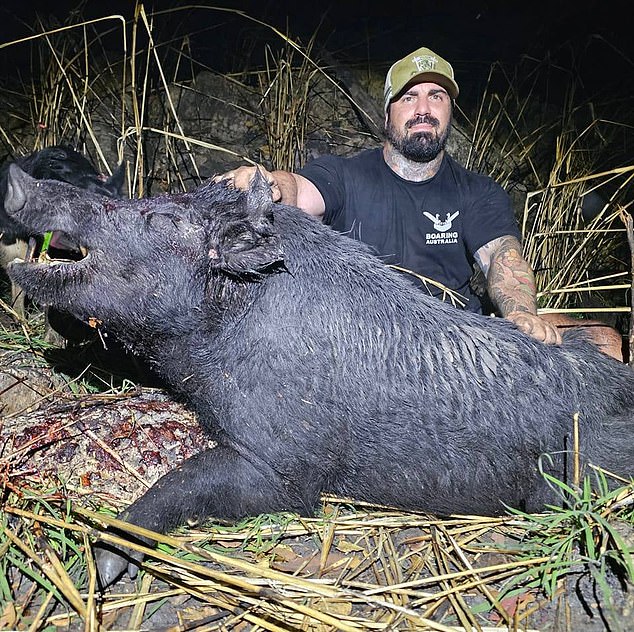 Josh Taylor was an avid follower of surfing and fishing pages on social media, but he also followed an Australian pig hunter, Chris Wertheim (pictured)