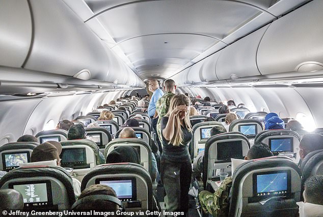 Nicole said she didn't take pictures of the vomit on her bag, and was told by a flight attendant that they couldn't clean it up because it's a bodily fluid (stock image)