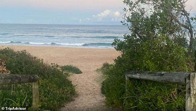 An off-duty prison officer spotted SLD in a monitoring anklet at Bulli Beach (above) as he approached women with very young children