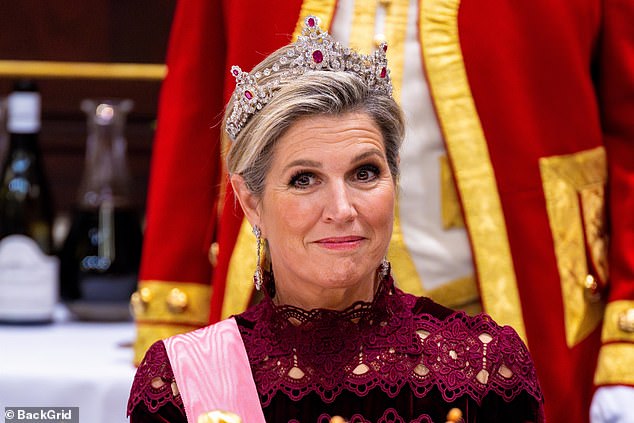 The Dutch queen, who hails from Argentina, looked radiant in the dress, which she paired with dazzling earrings and a tiara