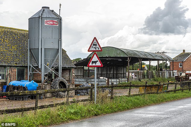 The cattle farm, near Christchurch, has been owned by the Farwell family for 144 years