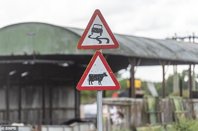 The Farwell family had found abandoned surgical gloves and clothing, and several young calves had died under unexplained circumstances