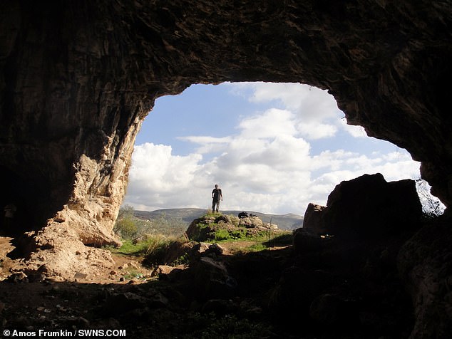 Neanderthals and Denisovans are extinct, but traces of their genetic legacy are still present in many modern humans living today