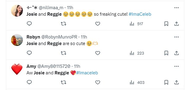 Viewers were quick to comment on the sweet clip, as one person said on Twitter: 'Josie and Reggie so freaking cute!  #ImaCeleb'