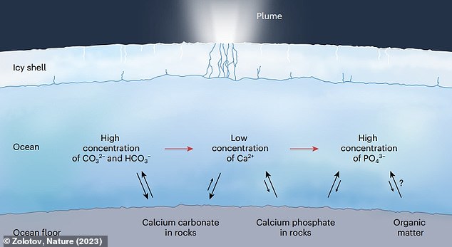 Enceladus, Saturn's sixth largest moon, has an outer layer of ice covering a liquid ocean of water.  Researchers discovered the presence of phosphate in ice released in... 