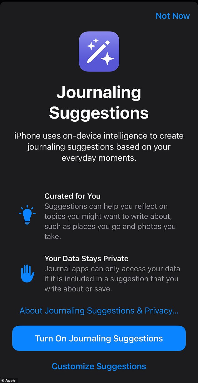 The button to turn on journal suggestions is large compared to the buttons that allow users to restrict their access to personal data, read its privacy terms, or skip it altogether