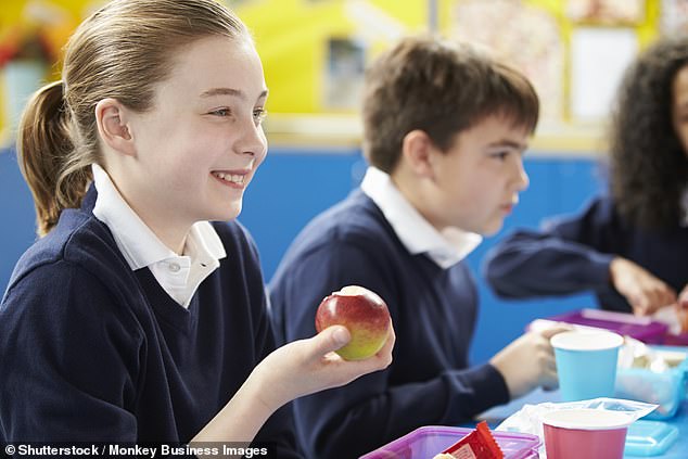 She claimed the same boy had to go to the toilet every time she spiked her daughter's lunch (stock image)