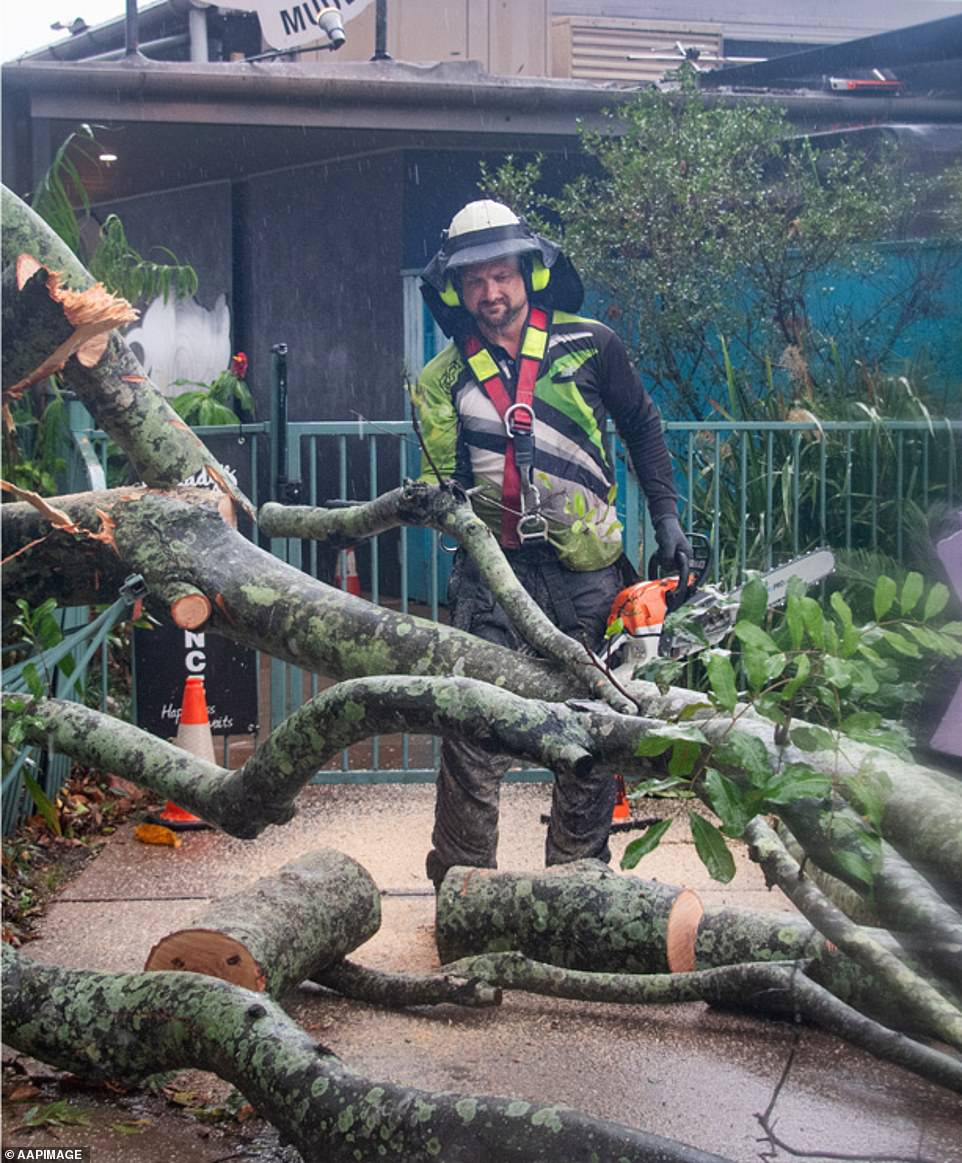 The weather system left behind downed trees and power lines as emergency workers began clearing the debris