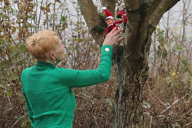 She placed the elf on a shelf in the tree