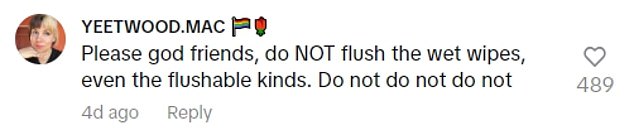 Others pointed out that flushing wet wipes down the toilet is bad for the environment – ​​and for sewage systems