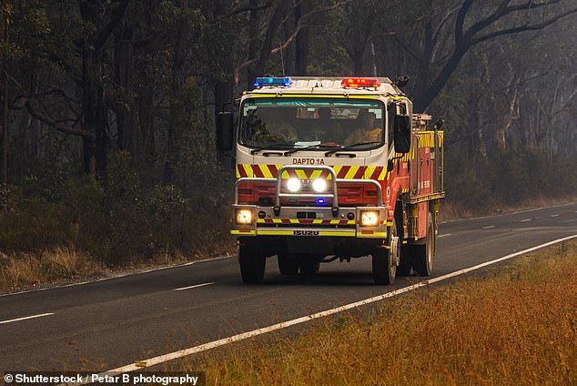 Paramedics rushed to the scene along with firefighters after the vehicle caught fire when it hit a guardrail (stock image)