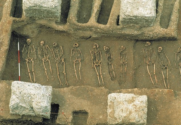 Pictured are the remains of people buried in the plague pits at East Smithfield in London, which were used for mass burials in 1348 and 1349.