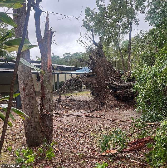 Senior meteorologist Angus Hines warned that Jasper's remnants could soon return with force (photo, damage in Cairns)