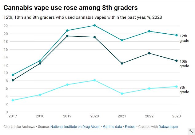 The above shows the proportion of students in 12th, 10th and 8th grades who used cannabis vapes annually since 2017