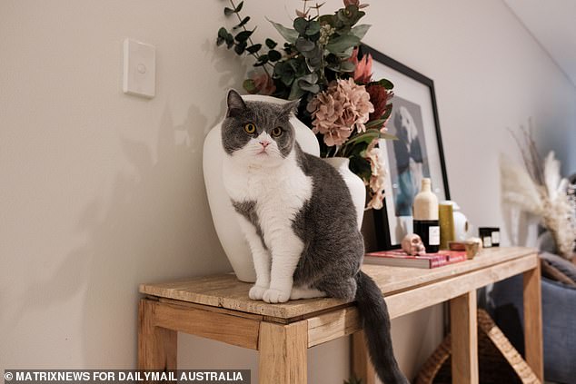 One of Kate's cats keeps an eye on things from the corner of a wooden table