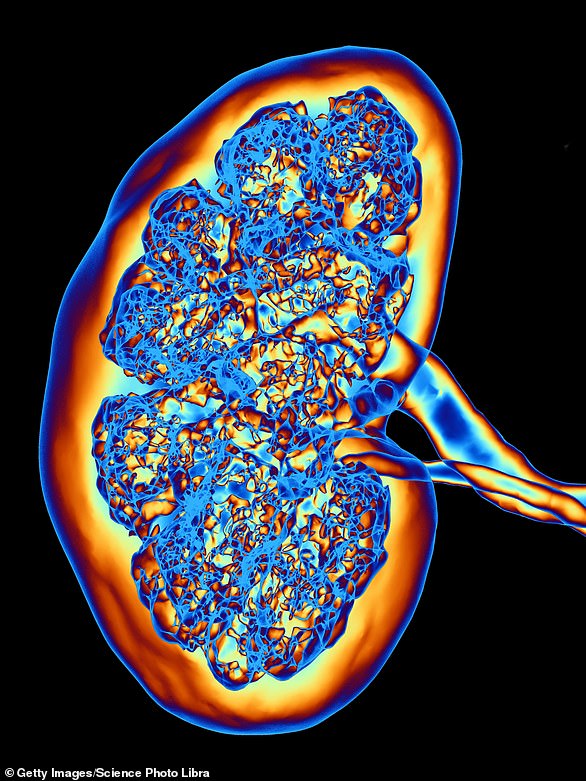 Do you have high blood pressure or diabetes?  If so, have you been told that these conditions significantly increase your risk for chronic kidney disease (CKD)?