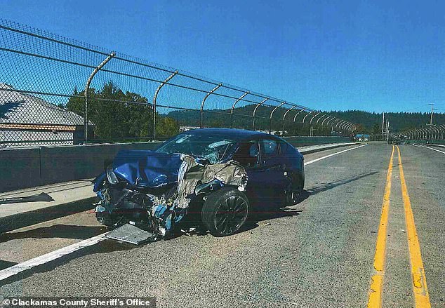 Owens' 2022 Tesla sedan - seen here - collided head-on with the Aloha resident's 2005 pickup, killing her and seriously injuring her dog