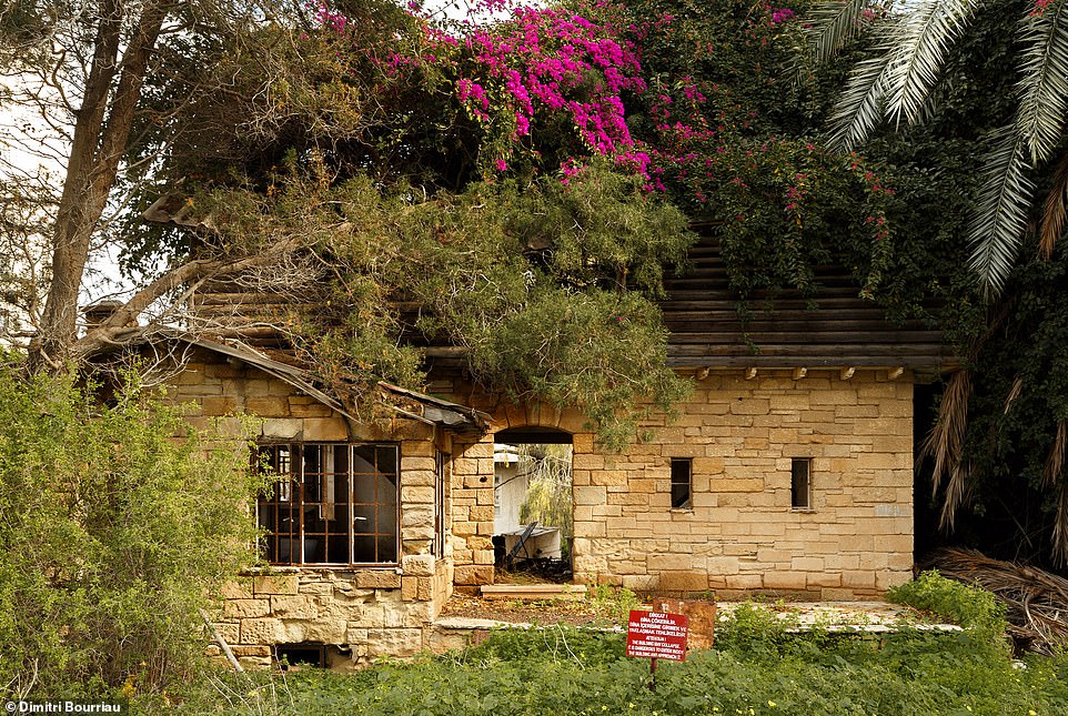 Lost in time: a small abandoned house now covered in vegetation