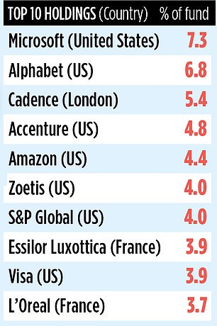 1702801877 817 STONEHAGE FLEMING GLOBAL EQUITY FUND How Best Ideas paid off