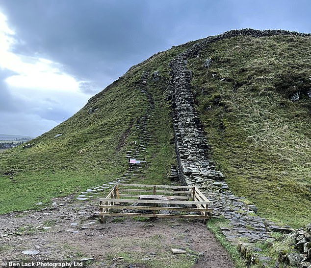 The Sycamore tree stump is behind a fence and tourists are asked to keep their distance