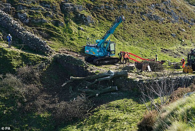 Work begins with the removal of the felled Sycamore Gap tree while a crane picks up a section of the chopped tree