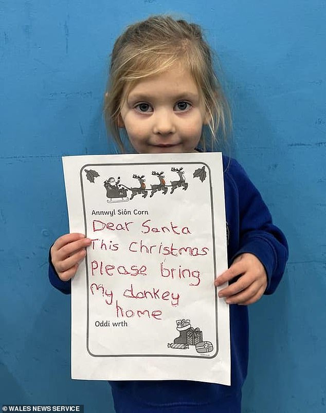 The disappearance of Blackpool's former beach donkey has left Mrs Doran and her two daughters devastated, with his return at the top of their Christmas lists